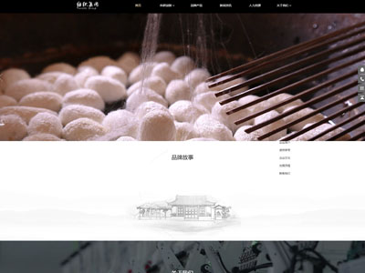 ?服装网站建设方案-纺织企业网站设计案例